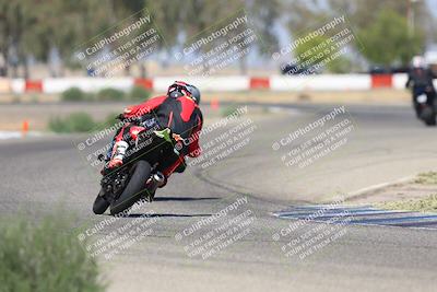 media/Sep-07-2025-Pacific Track Time (Sun) [[a6322260b9]]/C Group/Wheelie Bump/